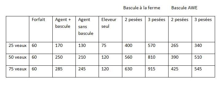 bascule