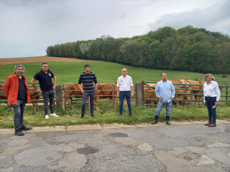eubeef3