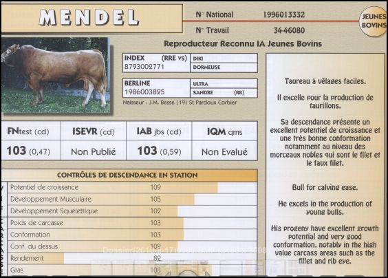mendel