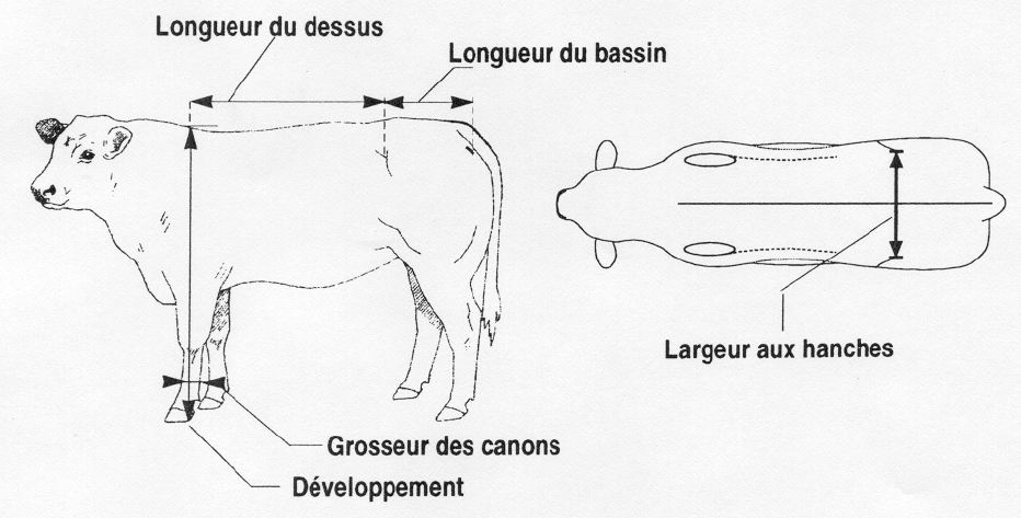 pointage2