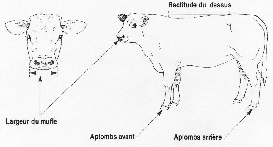pointage3